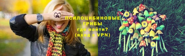 МДПВ Липки