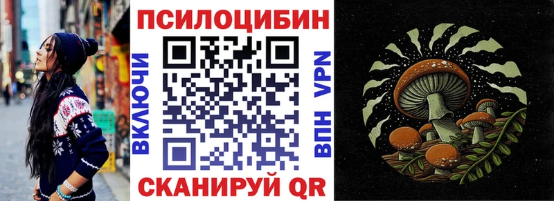 Купить закладки  Моршанск  Псилоцибиновые грибы прущие грибы 